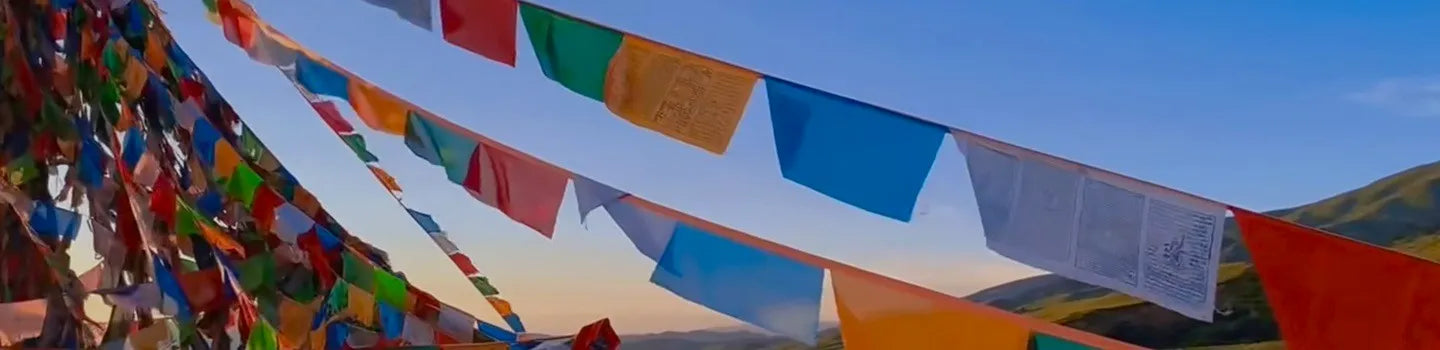 World Blessing Project