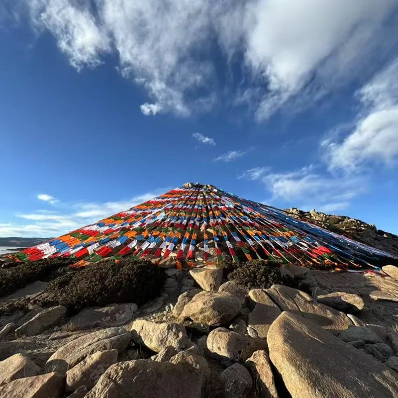 Buddhist Auspicious Tibetan Prayer Flags Windhorse Flags for Outside