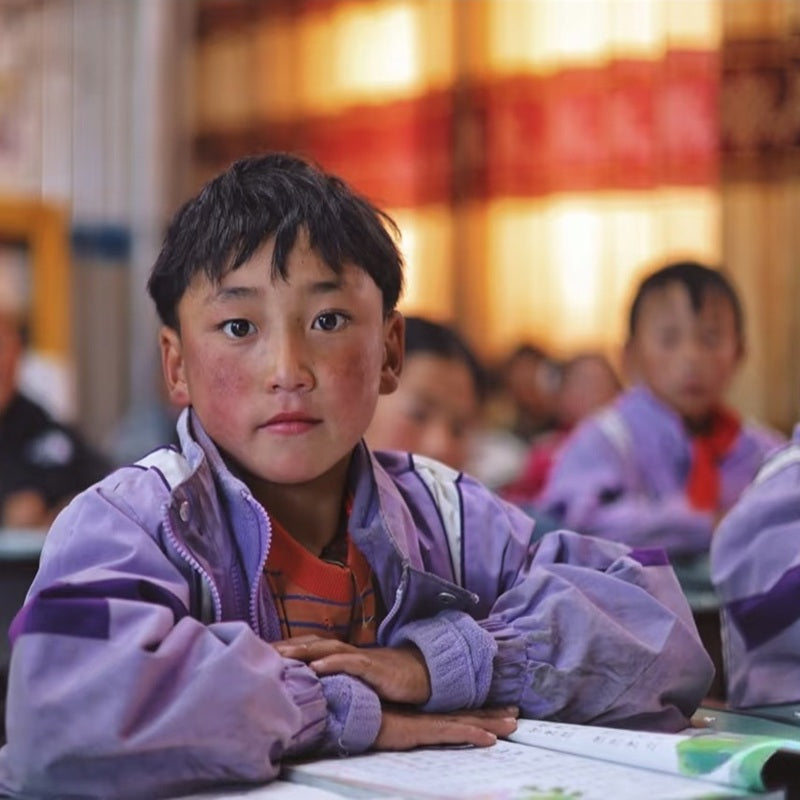 Love in Action Build a Better Tibet