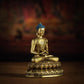 Buddhist Fully Gilded Compassionate Expression Sakyamuni Buddha Statue