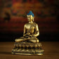 Buddhist Fully Gilded Compassionate Expression Sakyamuni Buddha Statue