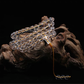 Top 108  Mala Beads Himalayan Clear Crystal Healing Necklace